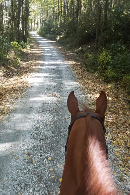 Is Horseback Riding Year-Round